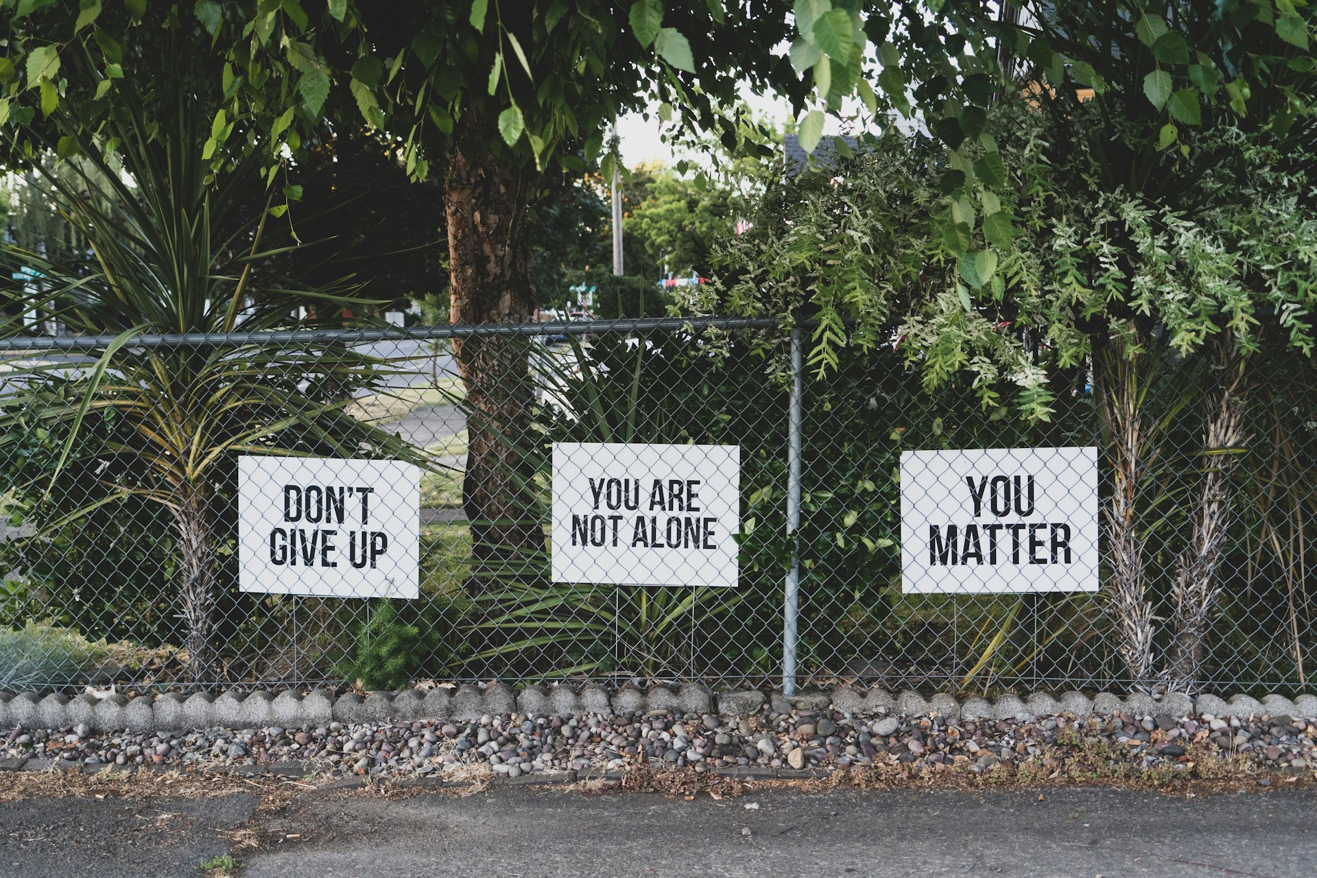Signs